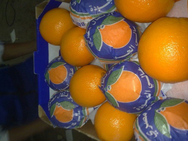 Our Products Gallery