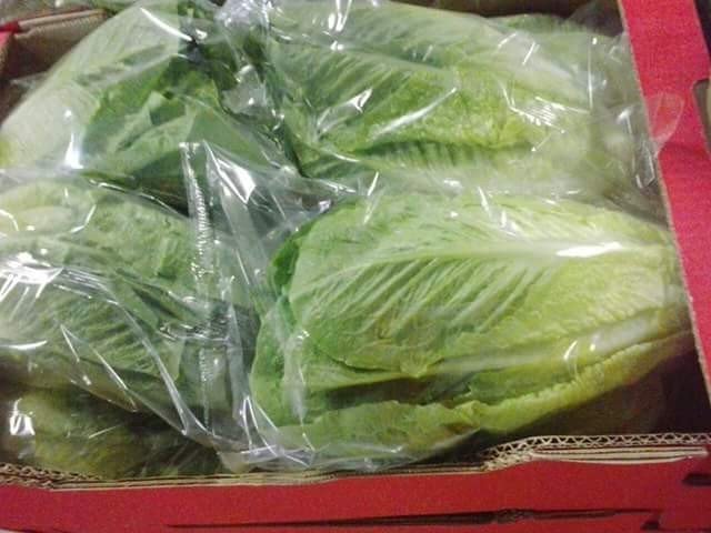 Our Products Gallery