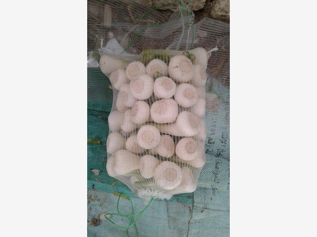 Our Products Gallery