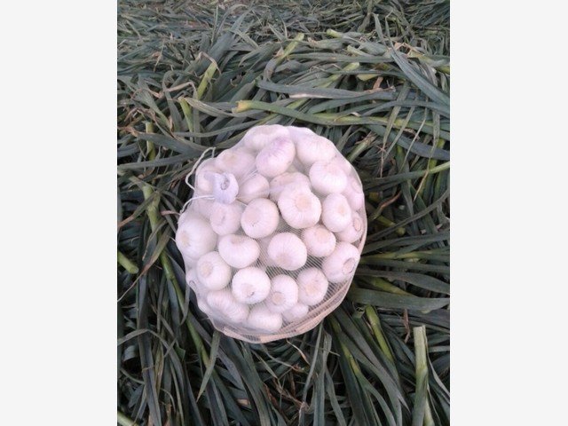 Our Products Gallery