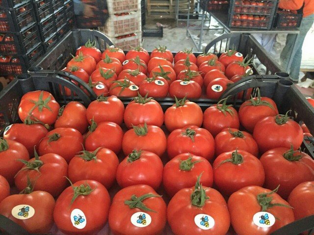 Our Products Gallery