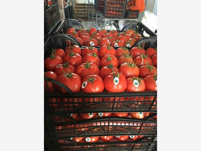 Our Products Gallery