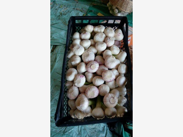 Our Products Gallery