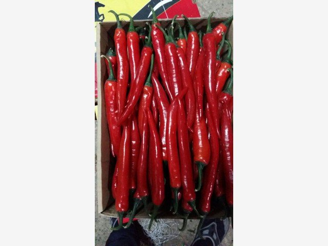 Our Products Gallery