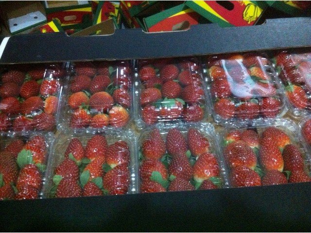 Our Products Gallery