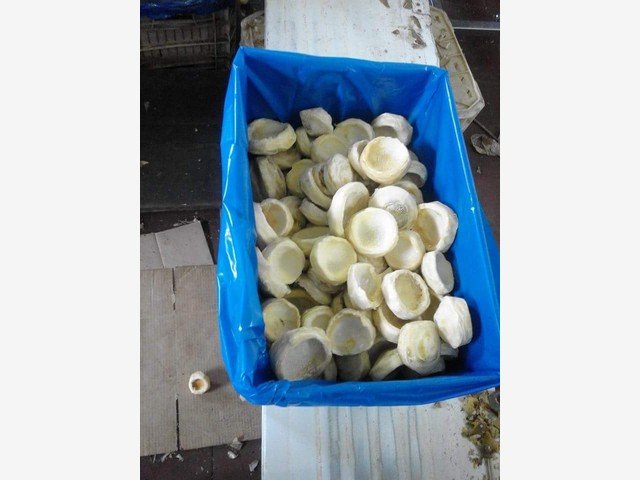 Our Products Gallery