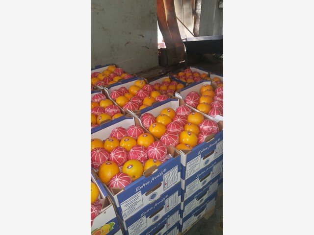 Our Products Gallery