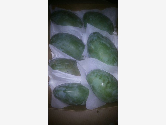 Our Products Gallery