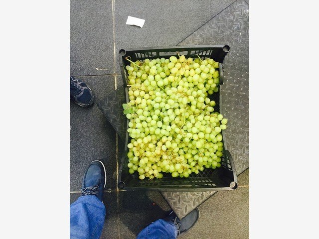 Our Products Gallery