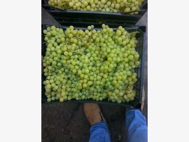 Our Products Gallery