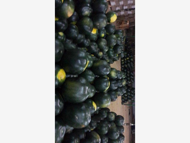 Our Products Gallery