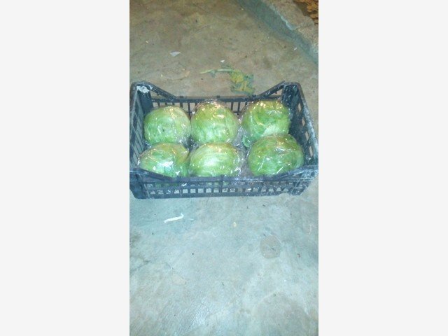 Our Products Gallery