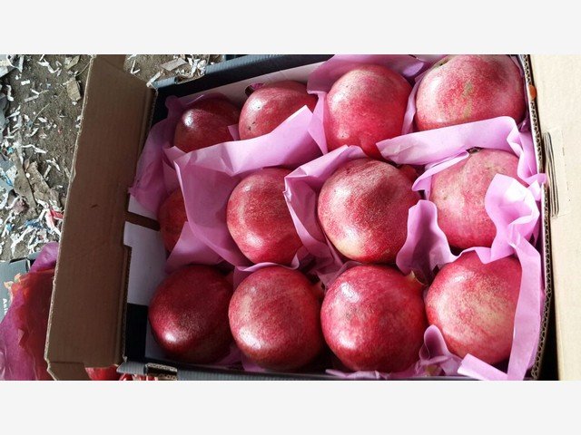 Our Products Gallery