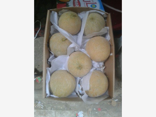 Our Products Gallery