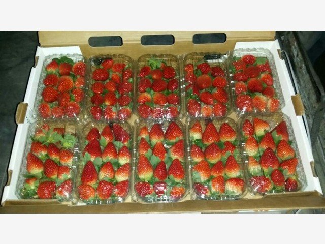 Our Products Gallery