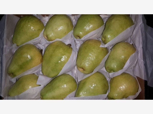 Our Products Gallery