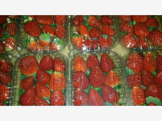 Our Products Gallery