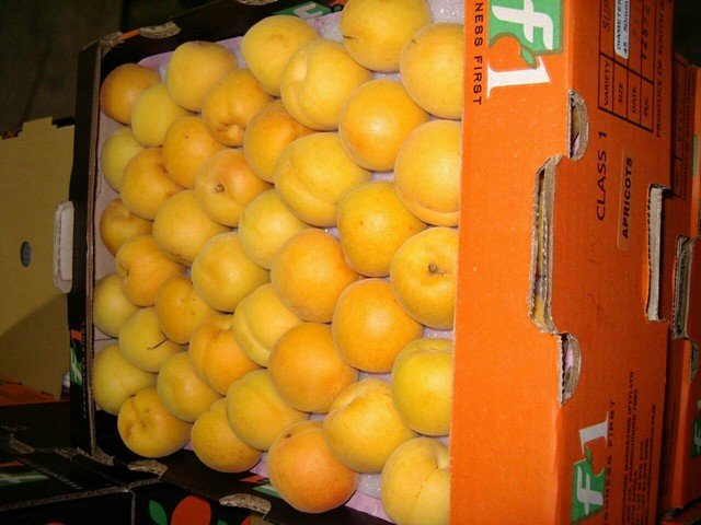 Our Products Gallery