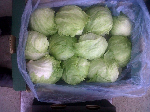 Our Products Gallery