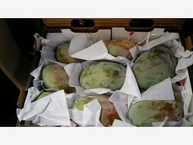 Our Products Gallery