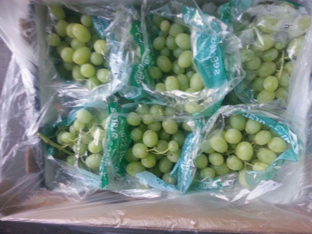 Our Products Gallery