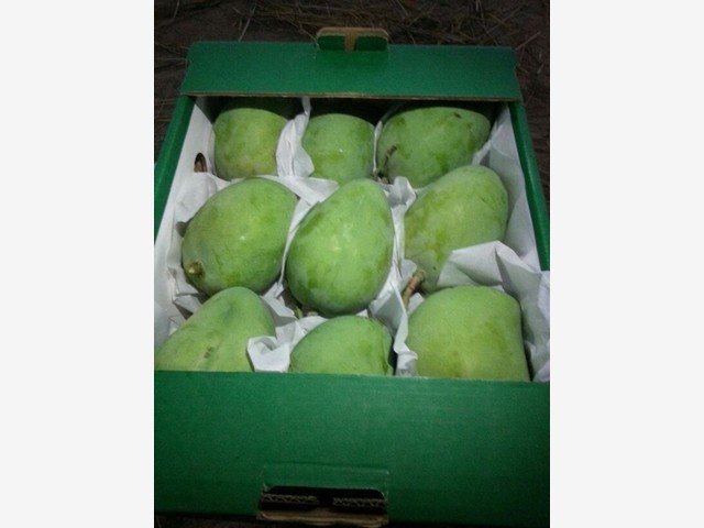 Our Products Gallery