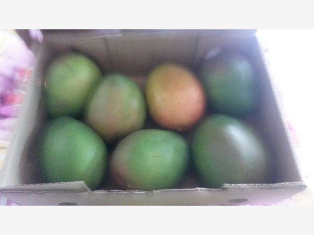 Our Products Gallery