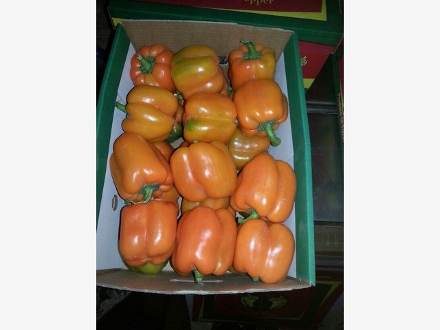 Our Products Gallery