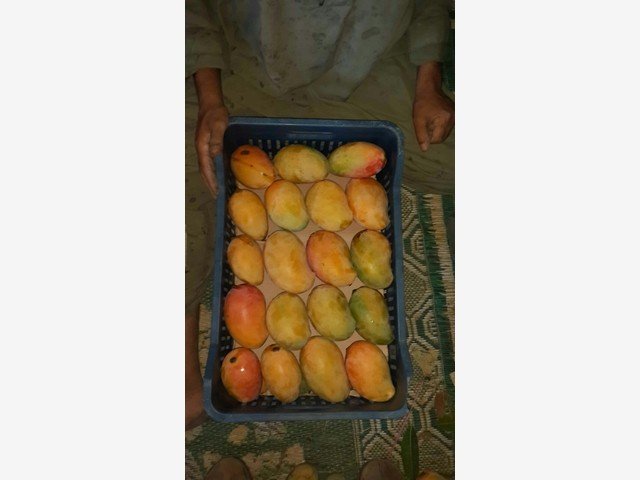 Our Products Gallery