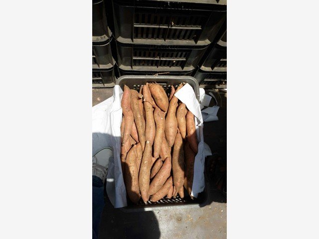 Our Products Gallery