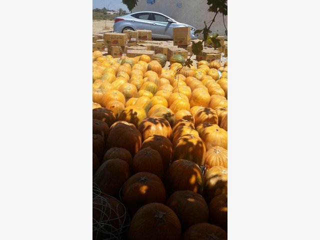 Our Products Gallery