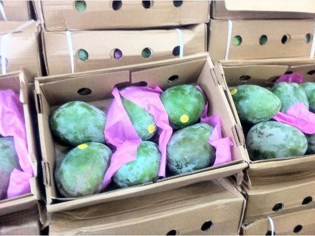 Our Products Gallery