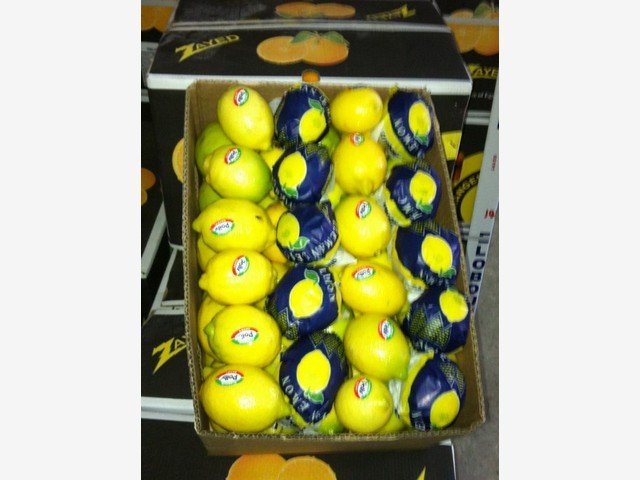 Our Products Gallery